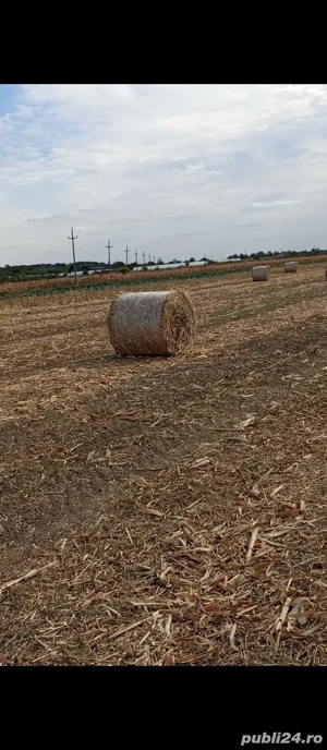 Baloți de coceni  - imagine 2