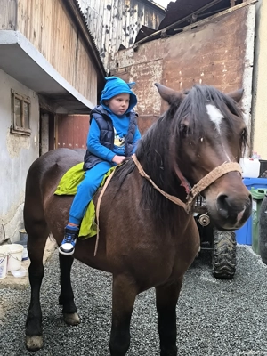 vand iapa  - imagine 2