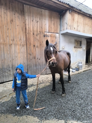 vand iapa  - imagine 3