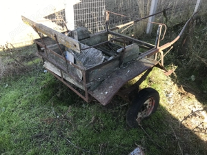 Sareta,Trasura ponei sau cal, usoara - imagine 2