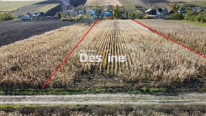 Oportunitate teren intravilan compact 7535 mp cu utilități in zonă Loc. Cosițeni