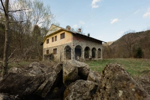 Proprietate unică în Tarcău – 30.283 mp intravilan, casă P+M - imagine 8