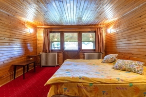 Poiana Mărului | 7 camere | Priveliște Piatra Craiului | Rar în piață - imagine 20