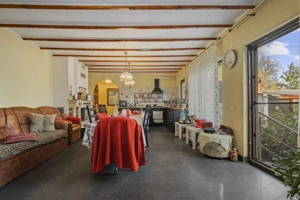 Comision 0% 2 case Vila + Spatiu Comercial + Curte Proprie - imagine 2