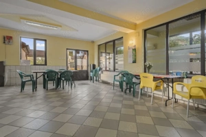 Comision 0% 2 case Vila + Spatiu Comercial + Curte Proprie - imagine 9