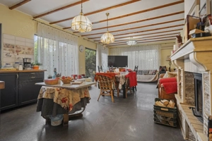 Comision 0% 2 case Vila + Spatiu Comercial + Curte Proprie - imagine 3