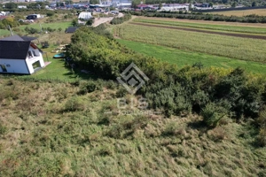 Teren Intravilan - Viisoara - imagine 7