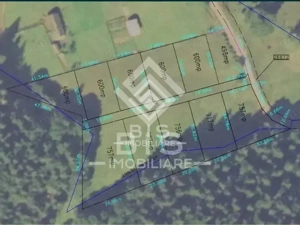 Teren intravilan parcelabil- Colibița, investitie - imagine 7