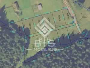 Teren intravilan parcelabil- Colibița, investitie