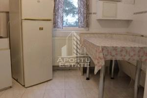 Apartament spatios cu 3 camere si 2 bai in Micalaca pe Malul Muresului - imagine 12