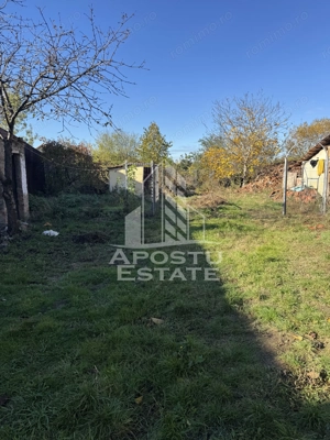 Casa veche in Recas cu teren generos de 1438 mp - imagine 2