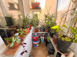 Apartament 4 camere | Decomandat | Etaj 1 | 90mp | Zona Steaua - imagine 16 Apartament 4 camere | Decomandat | Etaj 1 | 90mp | Zona Steaua - imagine 16