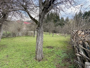 Teren Intravilan Nucsoara Arges 2671Mp | Direct Proprietar - imagine 4