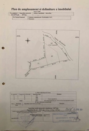 Teren Intravilan Nucsoara Arges 2671Mp | Direct Proprietar - imagine 6