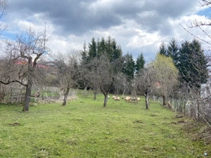 Teren Intravilan Nucsoara Arges 2671Mp | Direct Proprietar - imagine 3