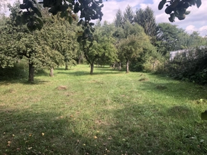 Teren Intravilan Nucsoara Arges 2671Mp | Direct Proprietar - imagine 2