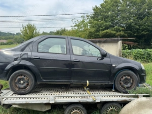 Dcia Logan 2010 - imagine 4