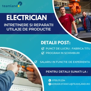 Electrician - Fabrica Titu