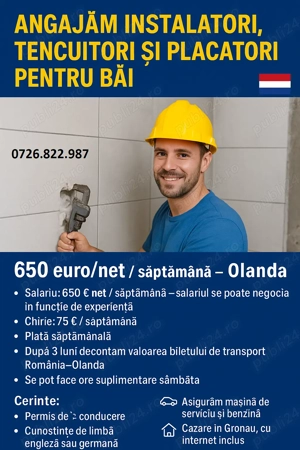 instalatori,tencuitori,placatori