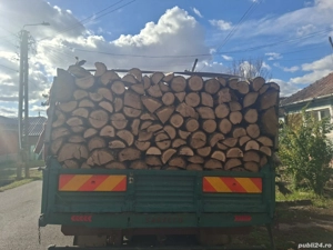 vând lemne de foc esență tare cer,fag,carpen,stejar cantitate garantata  transport gratuit  lemnele 