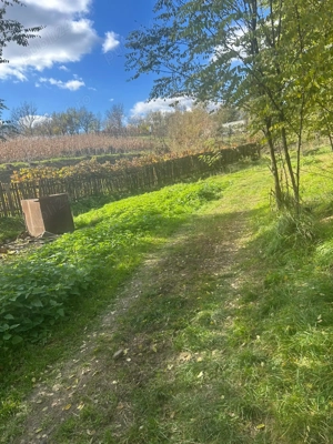 De vânzare hală + teren în Nima Rîciului, jud Mures - imagine 3