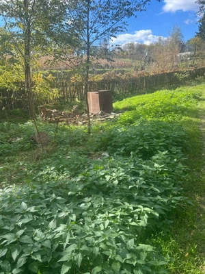 De vânzare hală + teren în Nima Rîciului, jud Mures - imagine 5