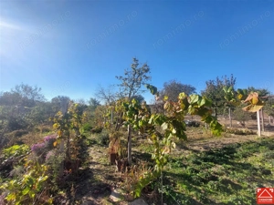 Casa frumoasa in Chisineu Cris - imagine 14