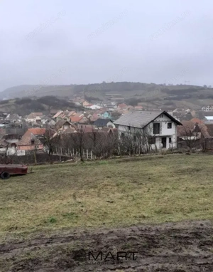 Hala in Sura Mare  - imagine 2