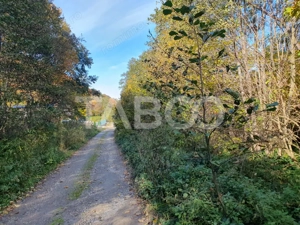 Teren in suprafata de 2990 mp cu vedere la munte zona turistica Lisa - imagine 3