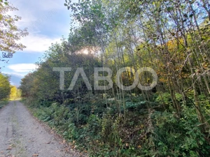 Teren in suprafata de 2990 mp cu vedere la munte zona turistica Lisa - imagine 2