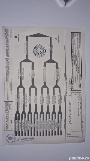Asia centrala cu certificat de origine sau schimb pe oi - imagine 2 Asia centrala cu certificat de origine sau schimb pe oi - imagine 2
