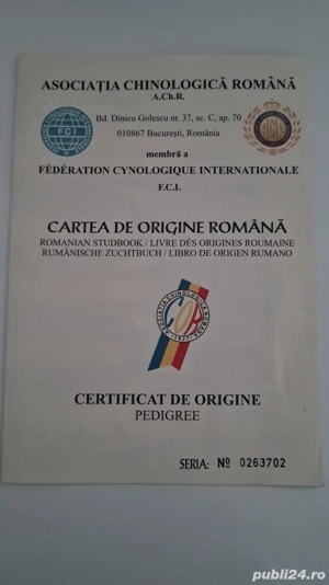 Asia centrala cu certificat de origine sau schimb pe oi - imagine 3 Asia centrala cu certificat de origine sau schimb pe oi - imagine 3