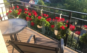 Apartament de vânzare, cu 3 camere, mobilat și utilat, zona centrala - imagine 11