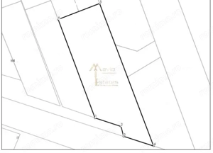 Satu Mare, Vetis, Teren mare cu front generos - imagine 3