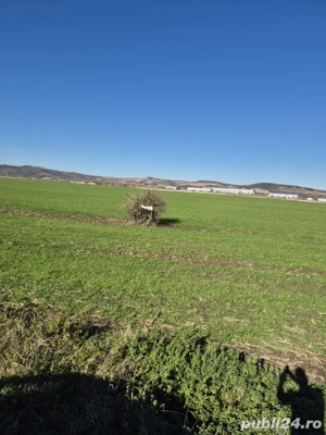 Teren Aeroport Transilvania Mures - imagine 2