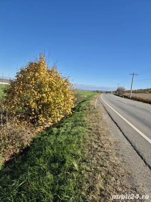 Teren Aeroport Transilvania Mures - imagine 3