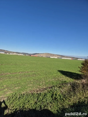 Teren Aeroport Transilvania Mures - imagine 5