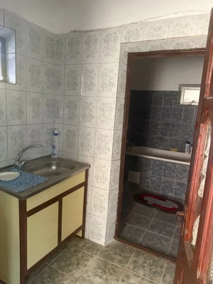 Casa 133 mp utili, 3300 mp teren, Ciutura - imagine 14 Casa 133 mp utili, 3300 mp teren, Ciutura - imagine 14