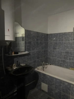 Casa 133 mp utili, 3300 mp teren, Ciutura - imagine 16 Casa 133 mp utili, 3300 mp teren, Ciutura - imagine 16