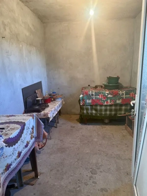 Casa 133 mp utili, 3300 mp teren, Ciutura - imagine 13 Casa 133 mp utili, 3300 mp teren, Ciutura - imagine 13