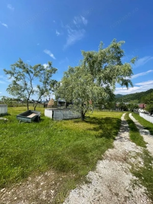  Oportunitate unică de investiție în inima naturii – VATRA DORNEI - imagine 6