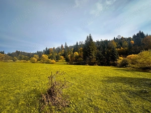 Teren de vânzare la Vărşag (Harghita)