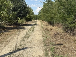 Vând teren intravilan 20000 mp în Lugoj cu front stradal 300 ml