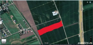 Teren extravilan, Letea Veche