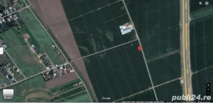Teren extravilan, Letea Veche - imagine 2