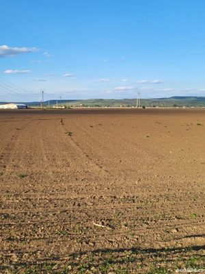 Teren extravilan, Letea Veche - imagine 3