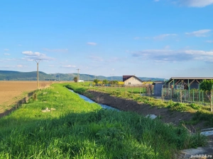 Teren extravilan, Letea Veche - imagine 5