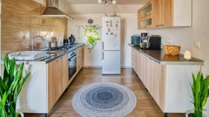 Vila de vanzare + afacere in Sannicolau Mare - imagine 3