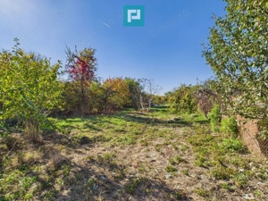 Teren intravilan de 1363 mp în Mândruloc - imagine 5