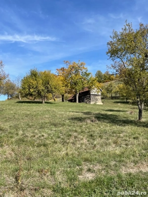 Vând sălaș Valea Sicheviței - oportunitate rară într-o zonă pitorească!